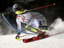 Austria Alpine Skiing World Cup