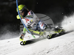 Austria Alpine Skiing World Cup