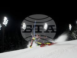 Austria Alpine Skiing World Cup