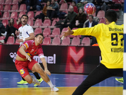 Handball Men's Worlds