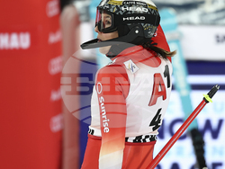 Austria Alpine Skiing World Cup