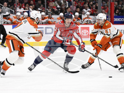 Ducks Capitals Hockey