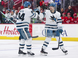 Sharks Red Wings Hockey