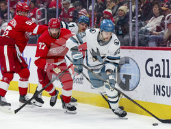 Sharks Red Wings Hockey