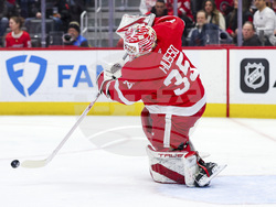 Sharks Red Wings Hockey