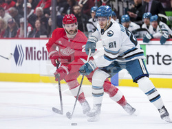 Sharks Red Wings Hockey