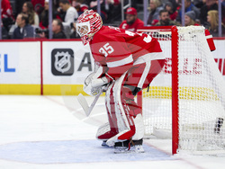 Sharks Red Wings Hockey