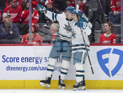 Sharks Red Wings Hockey