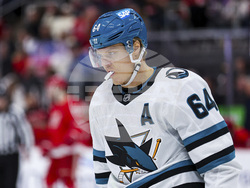Sharks Red Wings Hockey