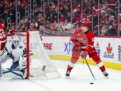 Sharks Red Wings Hockey