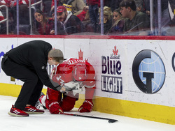 Sharks Red Wings Hockey