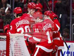 Sharks Red Wings Hockey