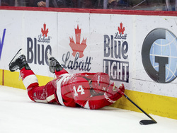 Sharks Red Wings Hockey