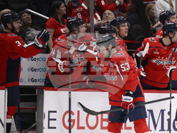 Ducks Capitals Hockey