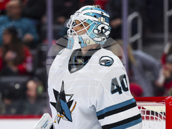 Sharks Red Wings Hockey