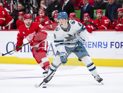 Sharks Red Wings Hockey
