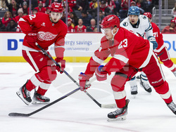 Sharks Red Wings Hockey