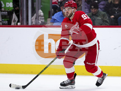 Sharks Red Wings Hockey