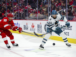 Sharks Red Wings Hockey