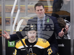 Lightning Bruins Hockey