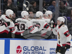 Senators Islanders Hockey