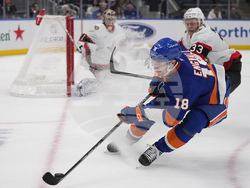 Senators Islanders Hockey