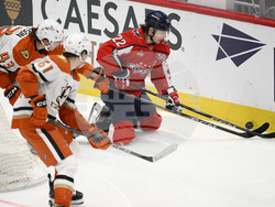 Ducks Capitals Hockey
