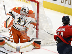 Ducks Capitals Hockey