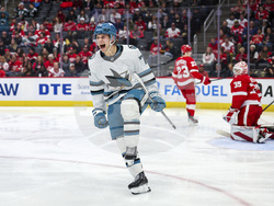 Sharks Red Wings Hockey