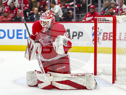 Sharks Red Wings Hockey