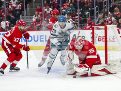 Sharks Red Wings Hockey