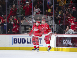 Sharks Red Wings Hockey