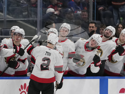 Senators Islanders Hockey