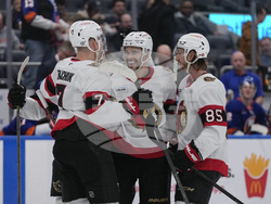 Senators Islanders Hockey