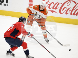 Ducks Capitals Hockey