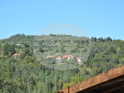 Сърбия - село Долно Тлъмино - изглед