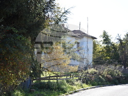 Сърбия - село Долно Тлъмино - изглед