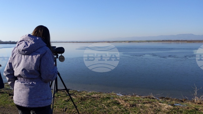 2026 Marks Bulgarian Midwinter Waterbird Census' 50th Anniversary