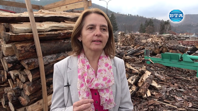 Невенка Костадинова: Зеленият и дигиталният преход вече дълго време присъстват в бизнеса в развитите европейски страни