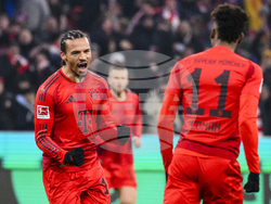 Germany Soccer Bundesliga