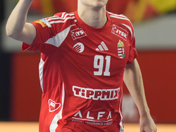 Handball Men's Worlds
