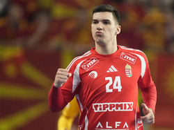 Handball Men's Worlds