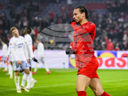 Germany Soccer Bundesliga