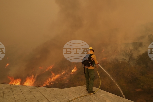 Големи културни институции в Лос Анджелис дават средства във фонд за помощ на творци, пострадали от пожарите в града 