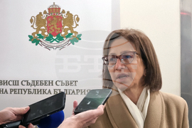 ВСС - Атанаска Дишева - изявление