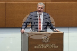 Парламент - заседание - Драгомир Стойнев