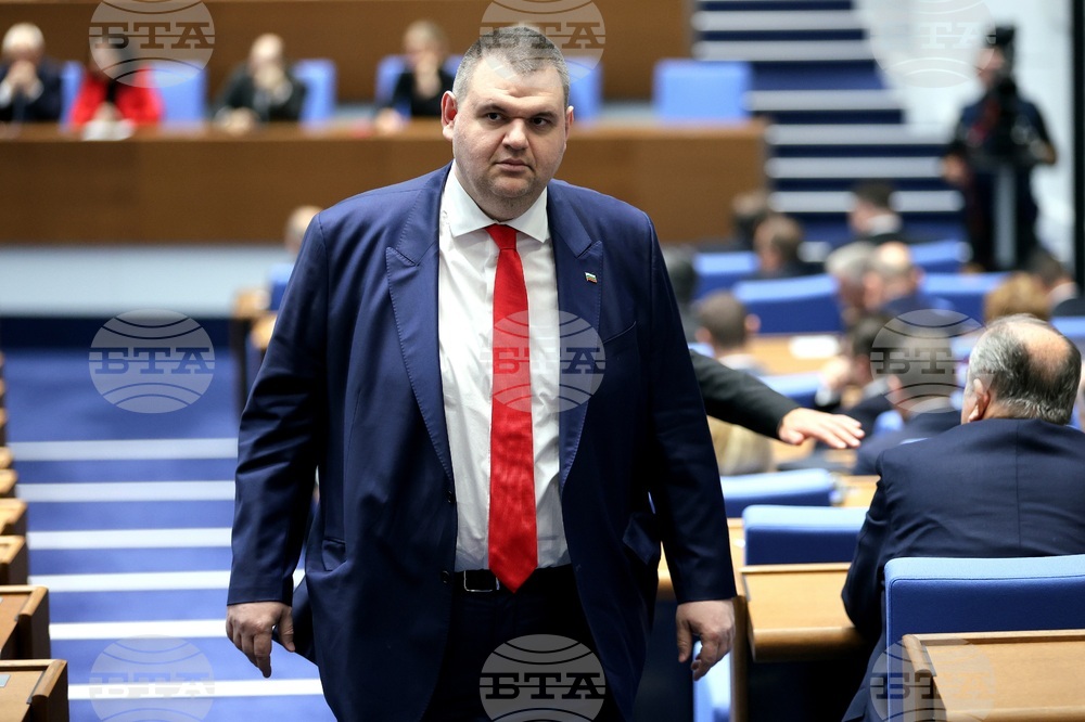 Парламент - заседание - Делян Пеевски