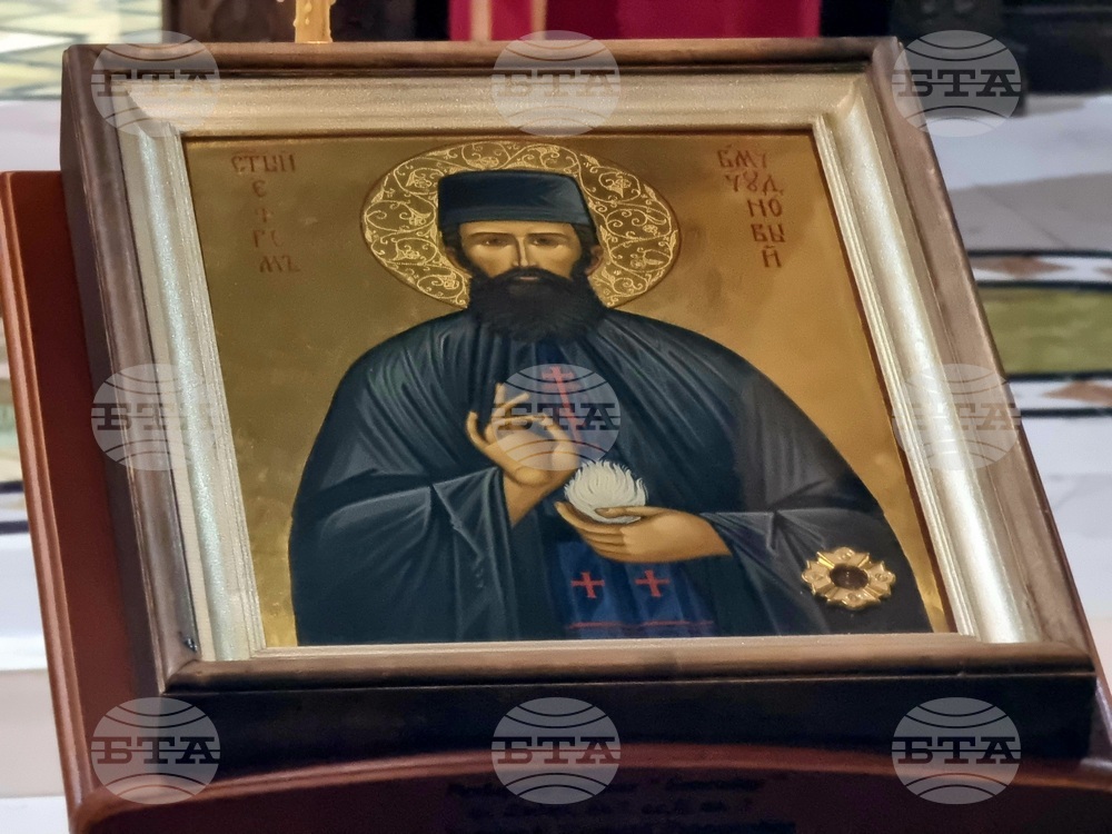 Видин - Църква „Св. Николай“ - чудотворна икона