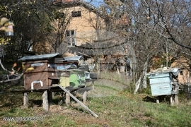 Сърбия - Босилеградска община - село Гложйе