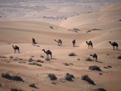 Dakar Rally Week Two Photo Gallery
